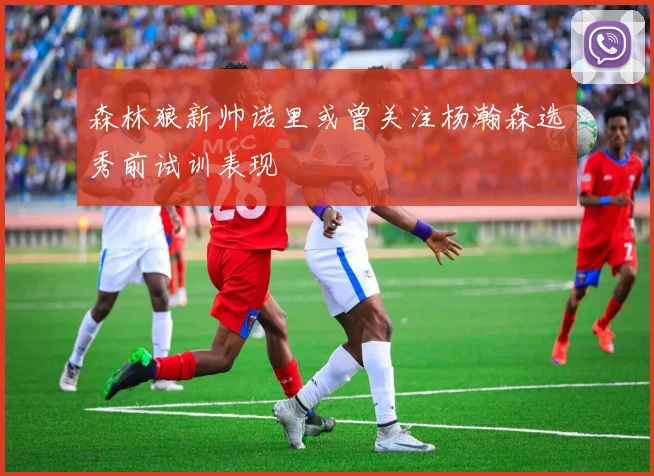森林狼新帅诺里或曾关注杨瀚森选秀前试训表现